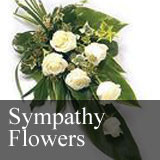 Sympathy & Funerals